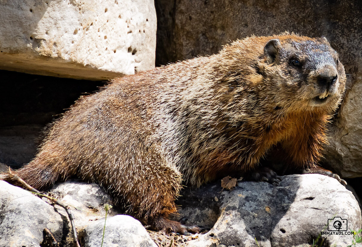 Toronto Zoo - 1.jpg