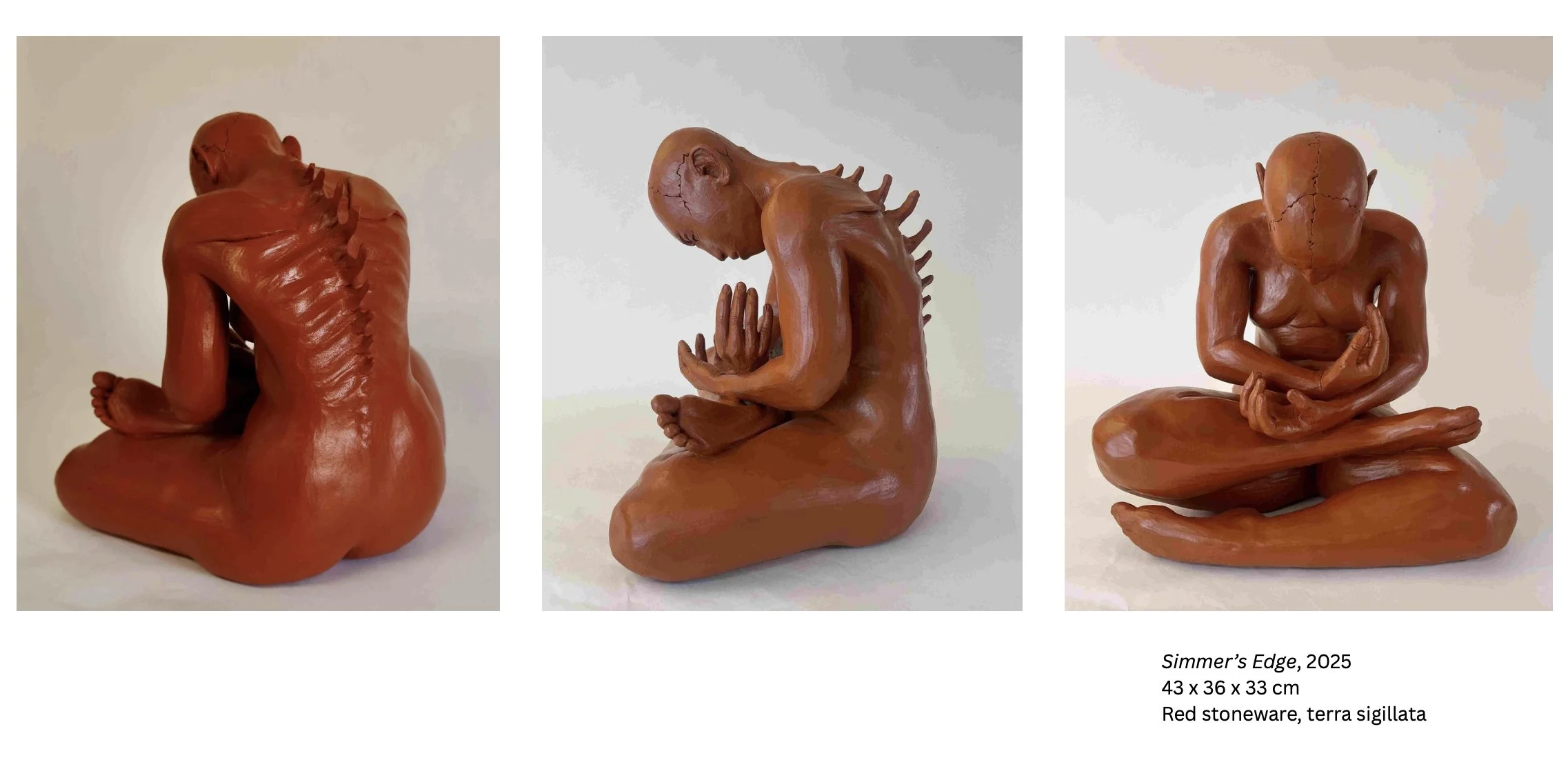 Art Opening Fiona Shaughnessy