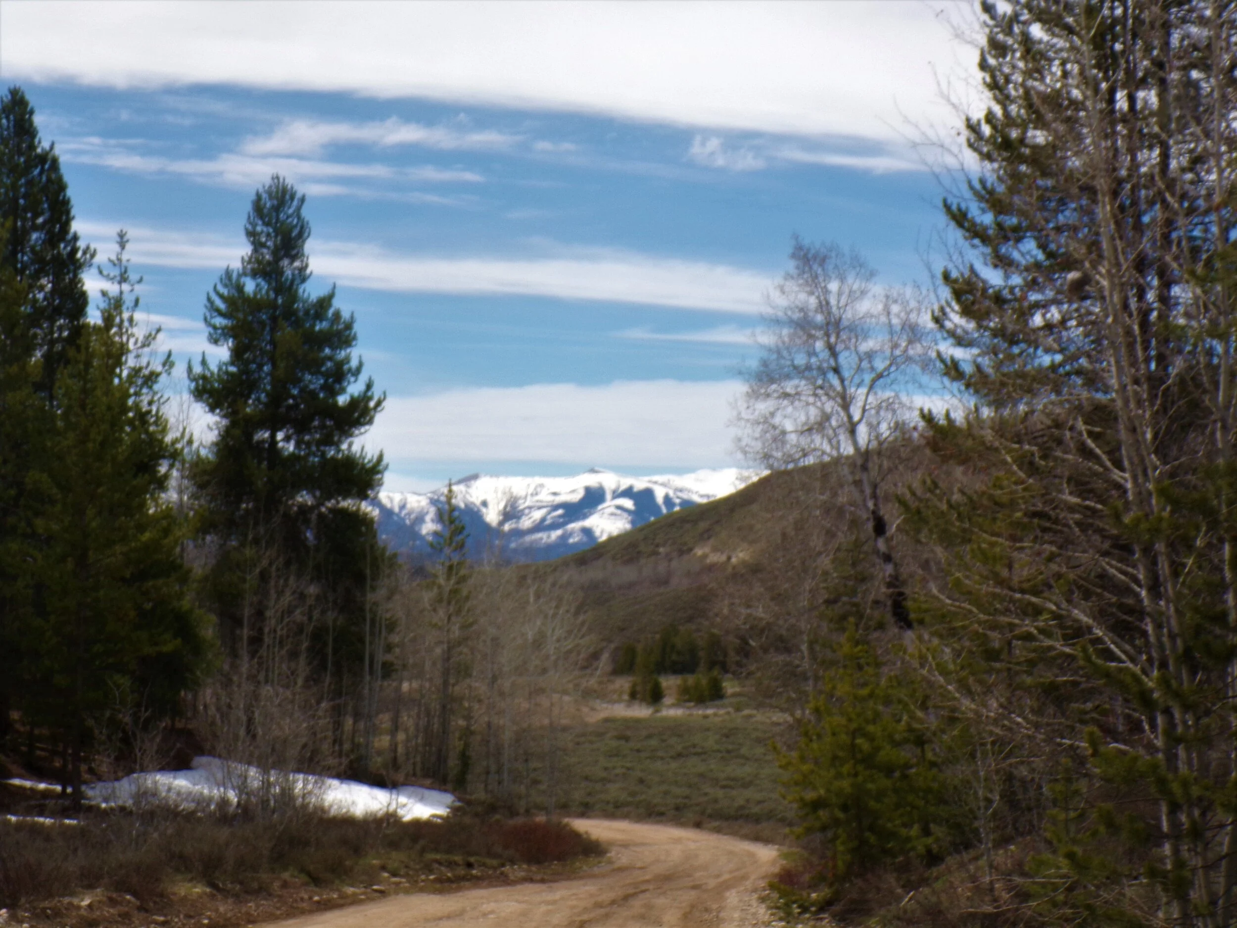 Bridger-Teton National Forest.