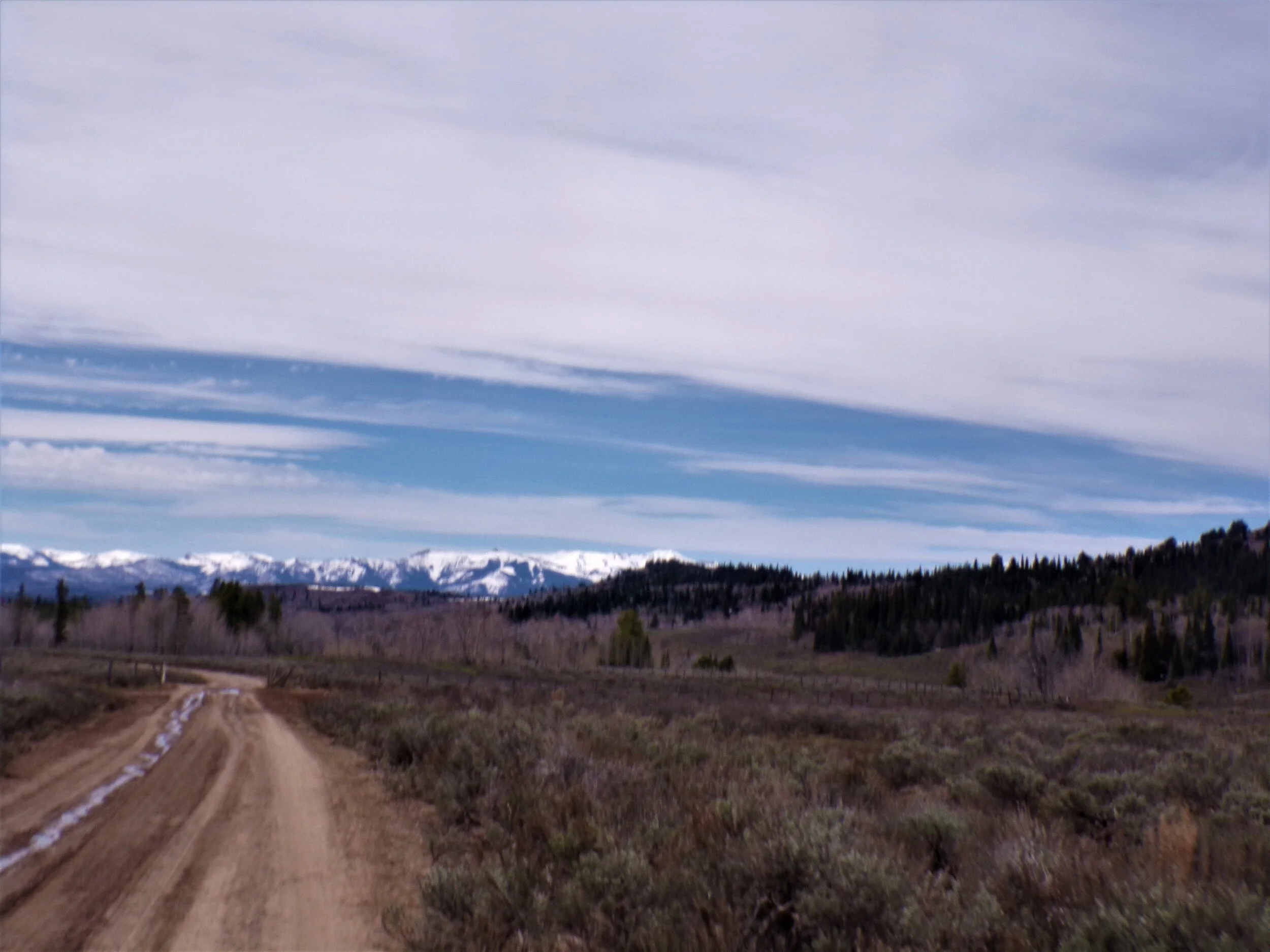 The Bridger-Teton National Forest, where you can camp for free!