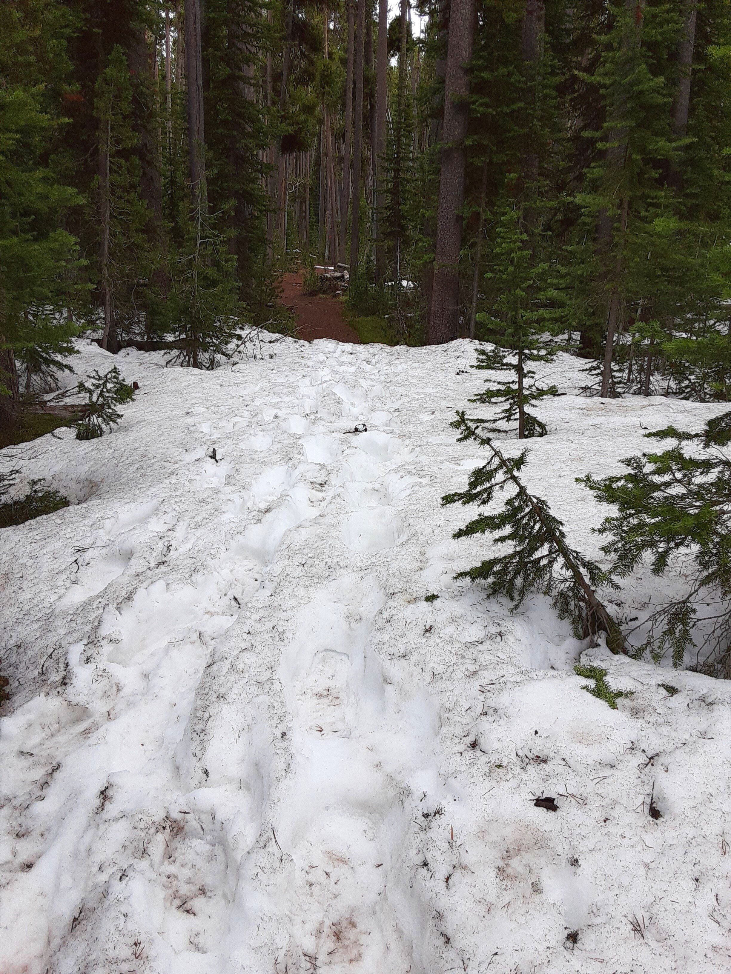 Hiking in Yellowstone National Park in early June can lead to trudging through snow. Make sure you are prepared.