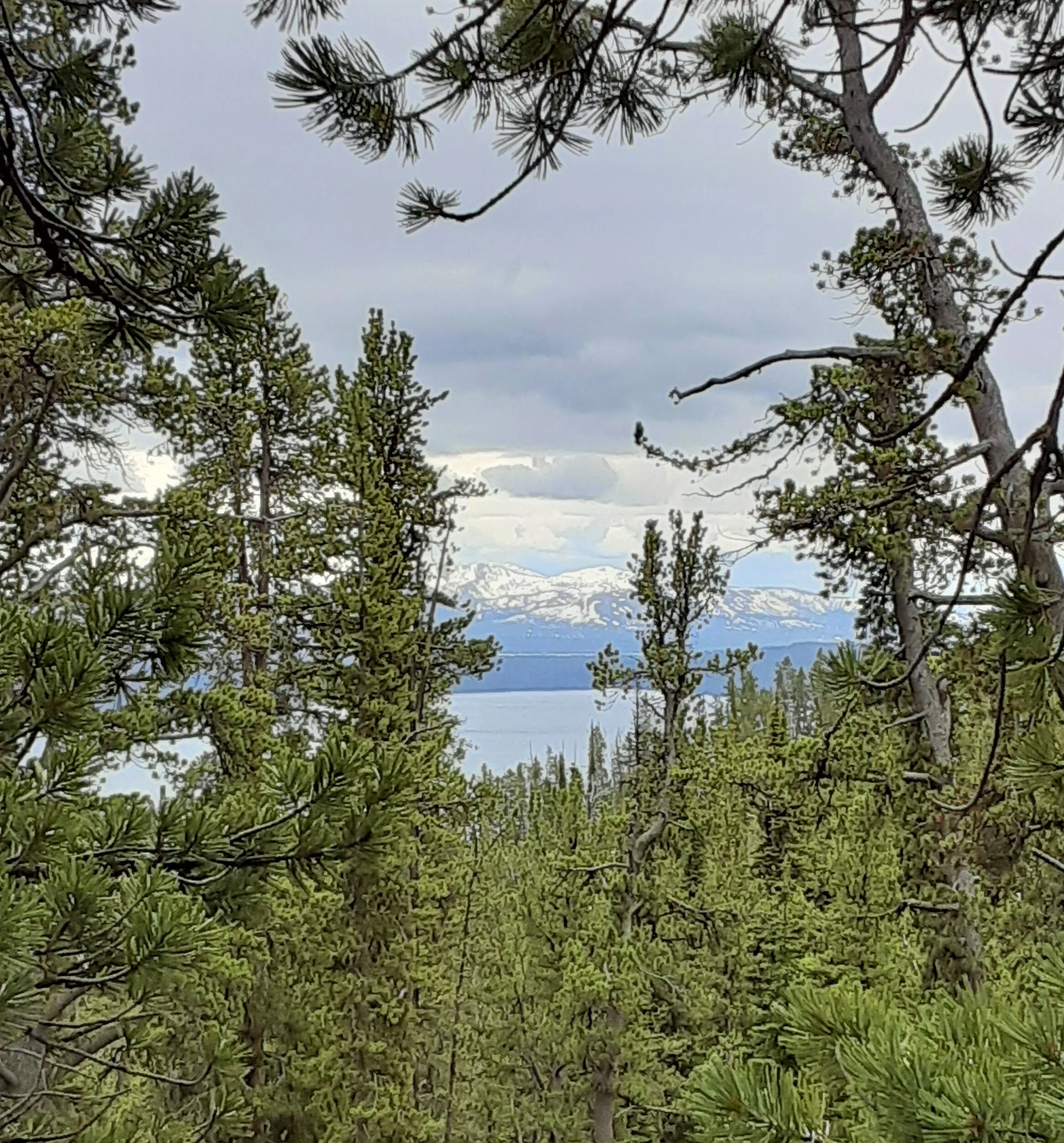 Shoshone Lake from the Divide Trail in Yellowstone National Park.