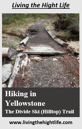 Our first family hike in Yellowstone National Park was the Divide Ski (Hilltop) Trail. It is a 4 mile round trip hike that will give you some stunning views on a clear day.