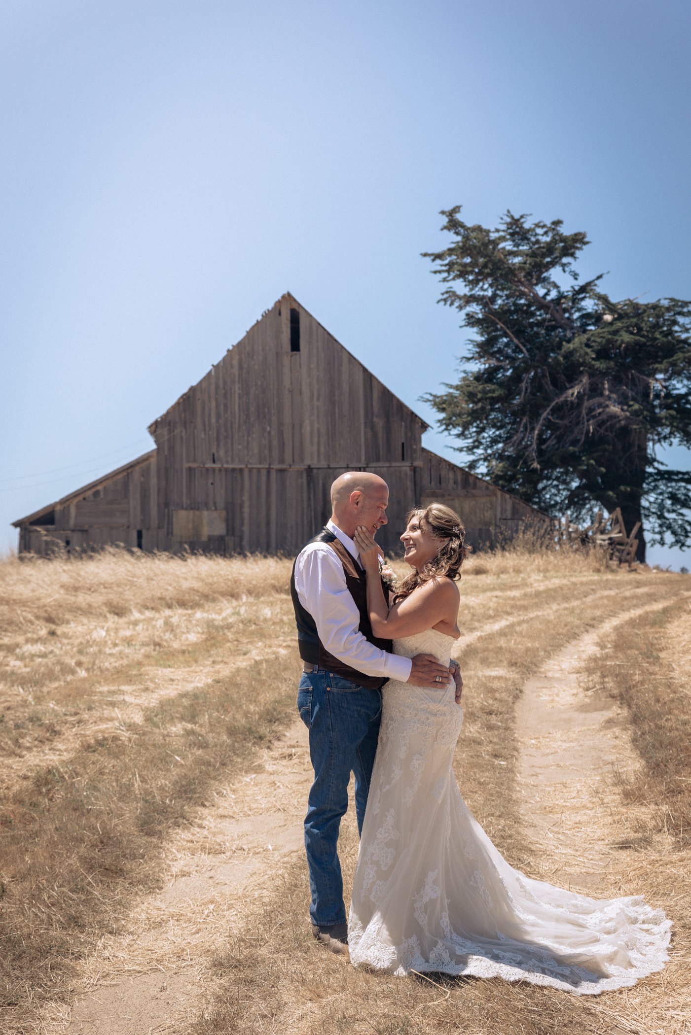 Bride and groom together in golden field with rustic barn in the distance at Spring Ranch, in Mendocino, Calfiornia