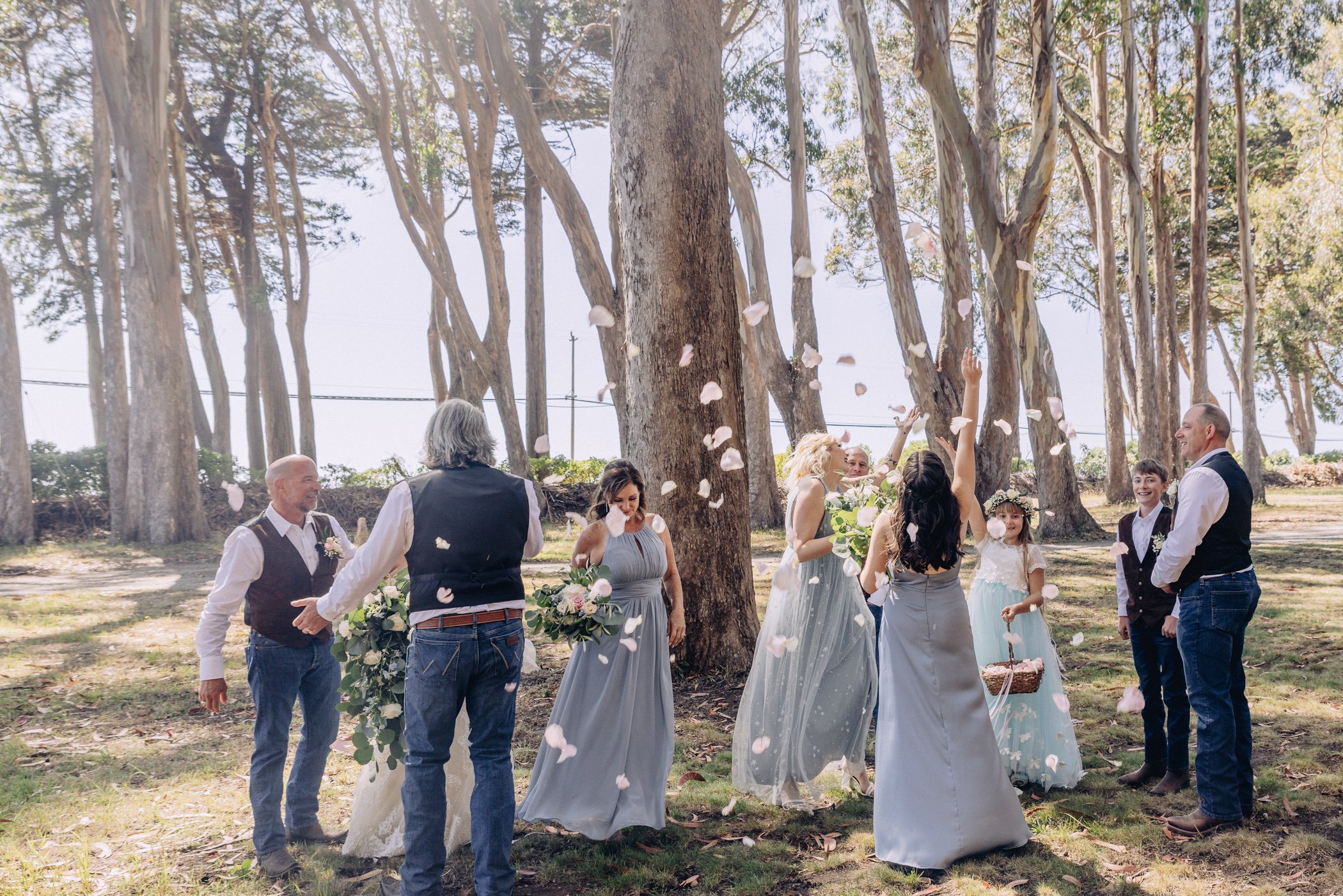Groomsmen and bridesmaids throwing rose petals in the air at Spring Ranch, in Mendocino, Calfiornia