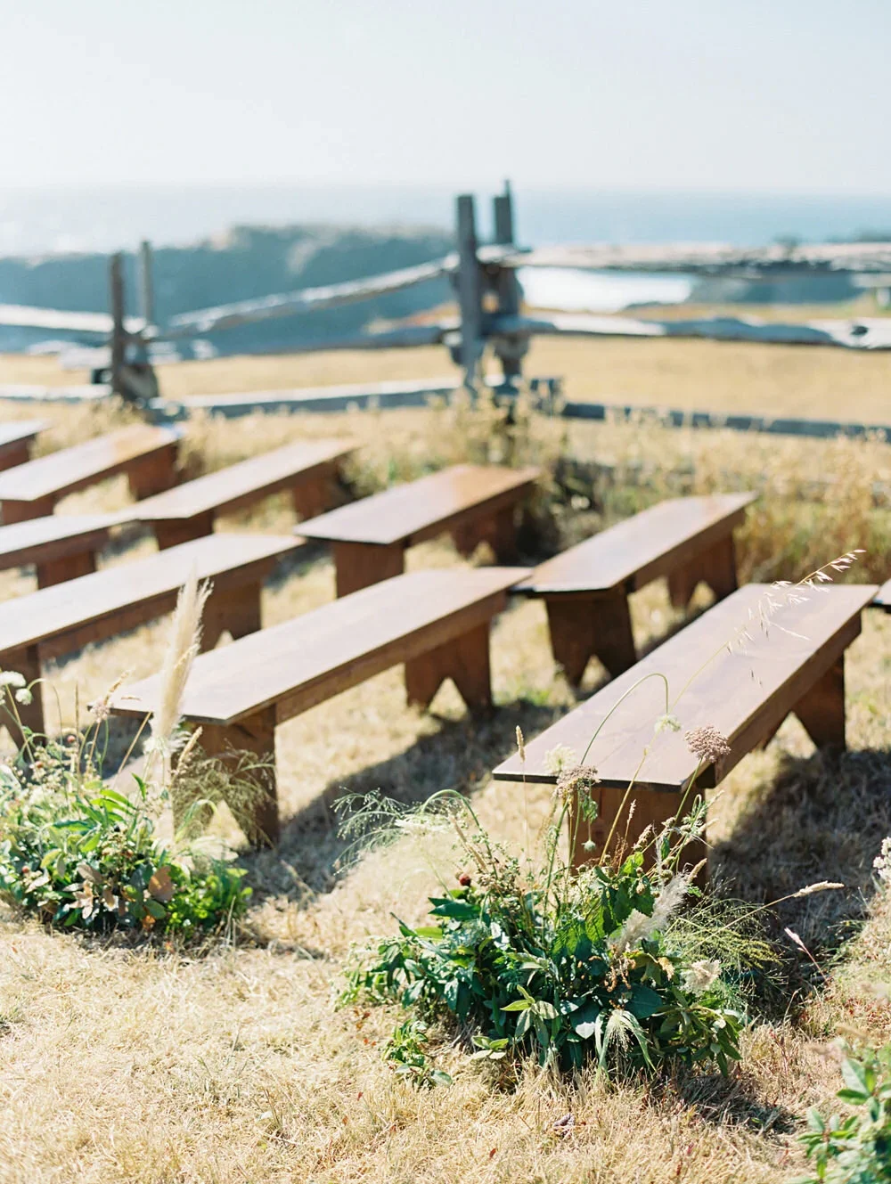 Catherine + Niko5.webp