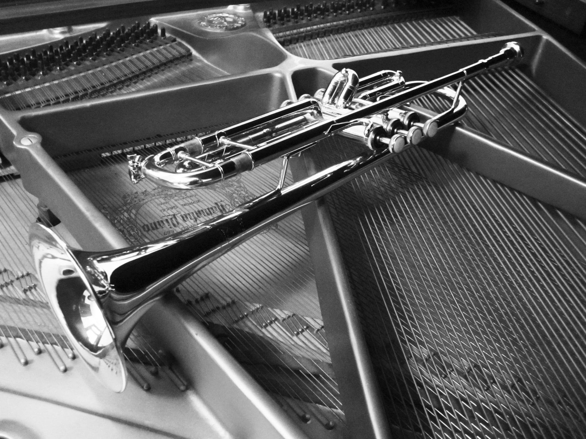 Maurer & Petley in Concert!