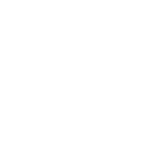MNG Summit