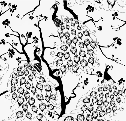 Peacock- BW.PNG