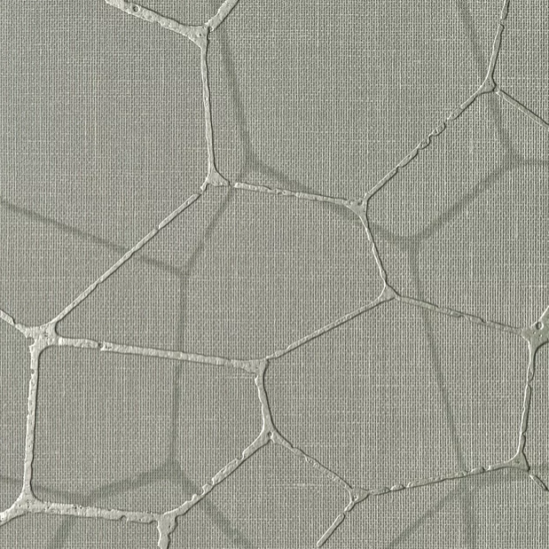 cha-23 calm forest.PNG