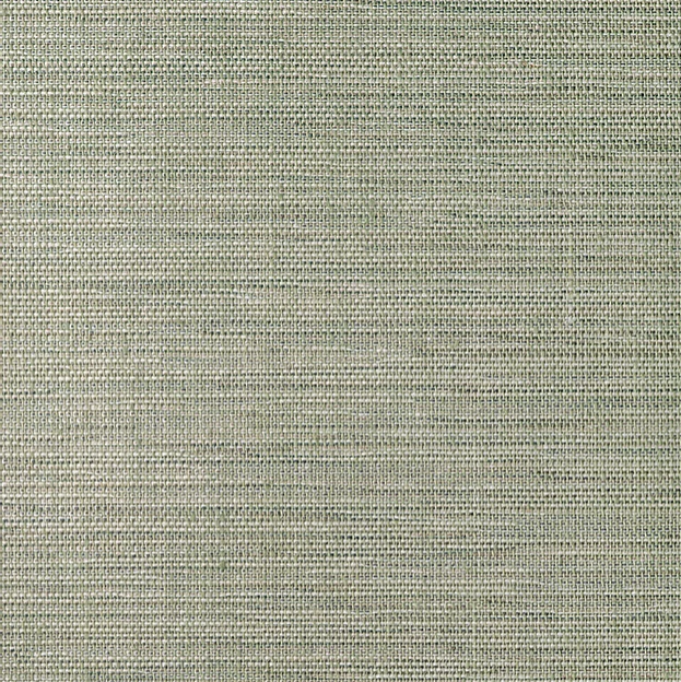 mgh-55 garden sage.PNG