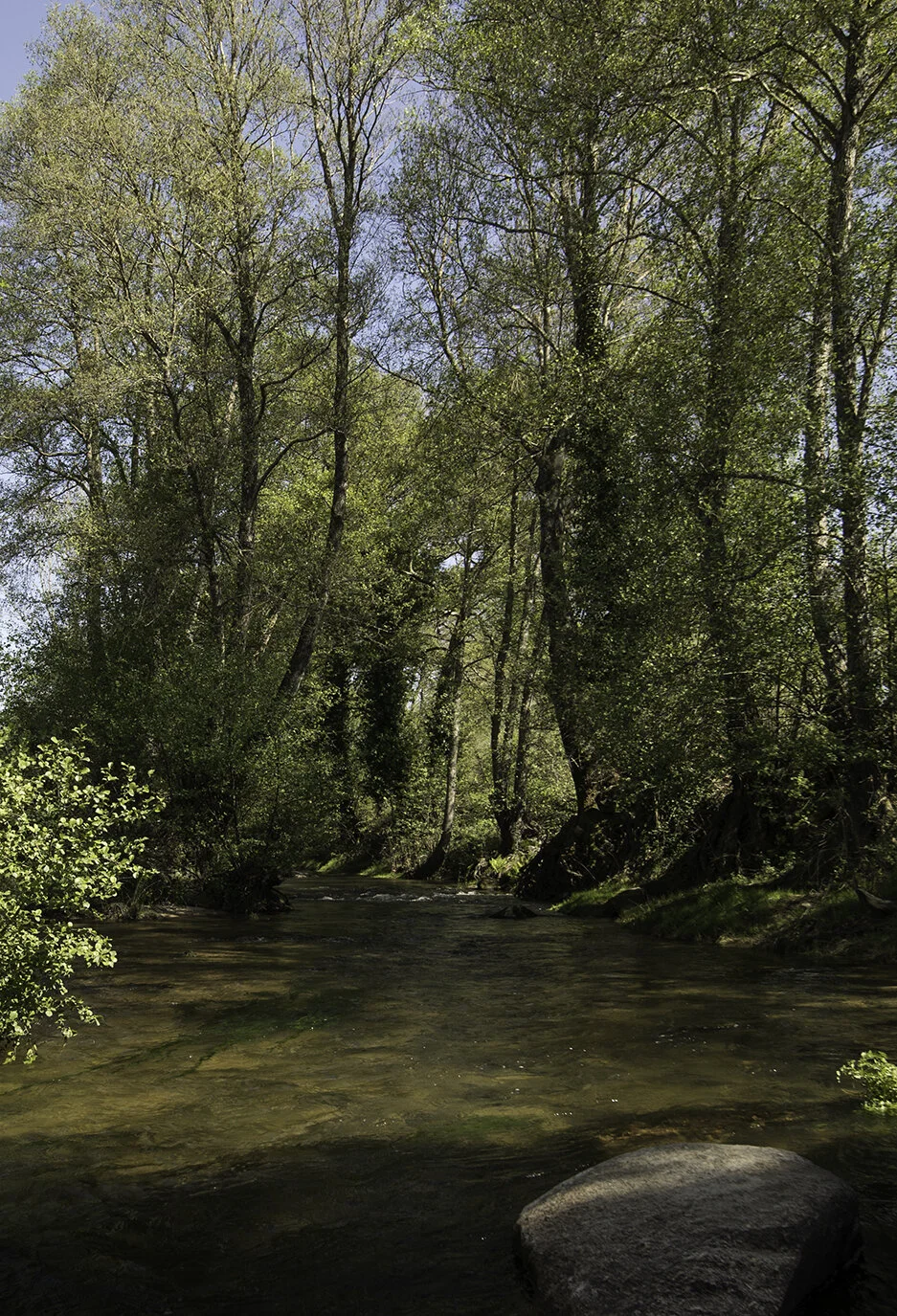 Uma das duas ribeiras que rodeiam a Quinta do Alcada, Ribeira de Peraboa e Ribeira de Caria onde existe uma pequena praia fluvial