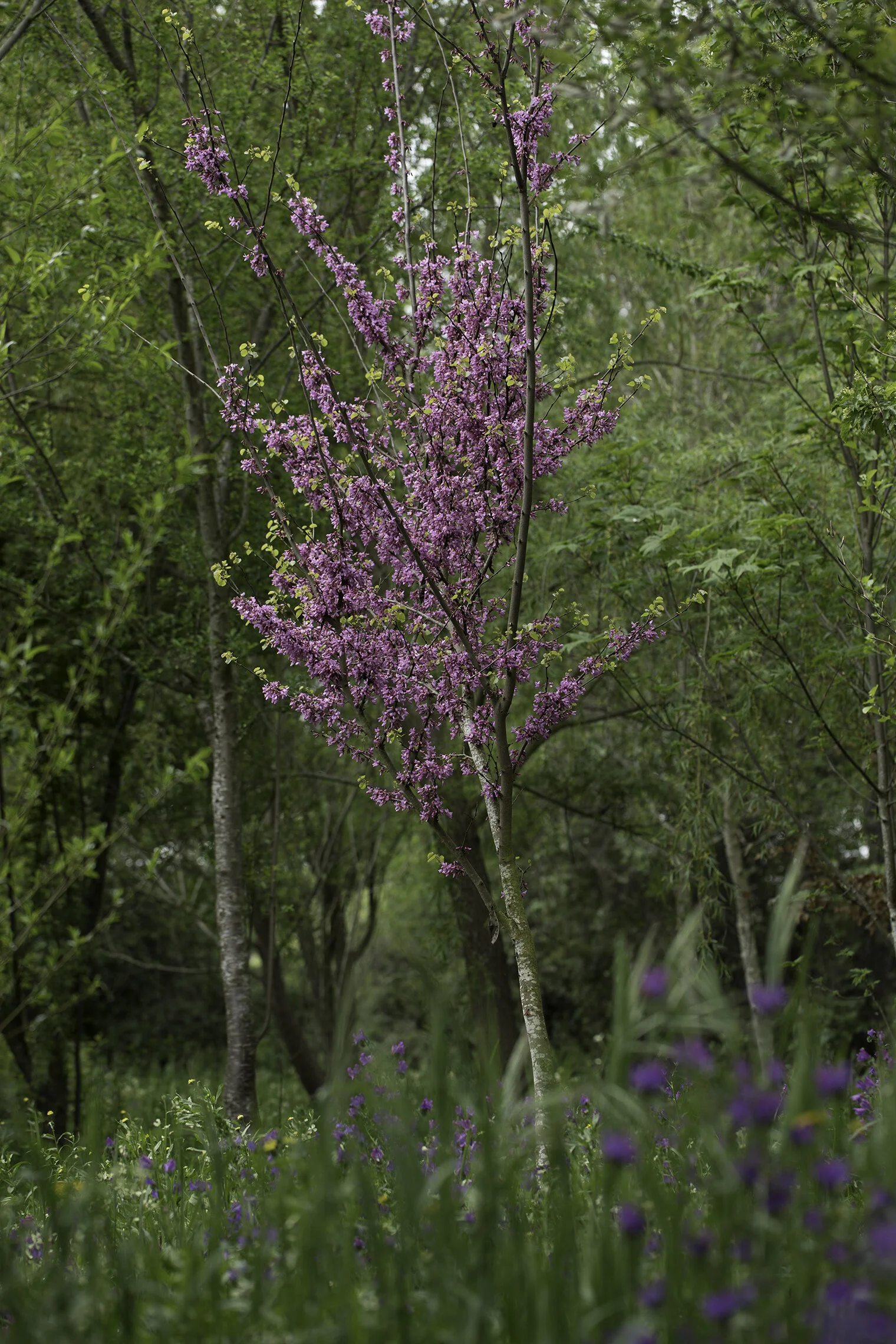 A97I7586.jpg