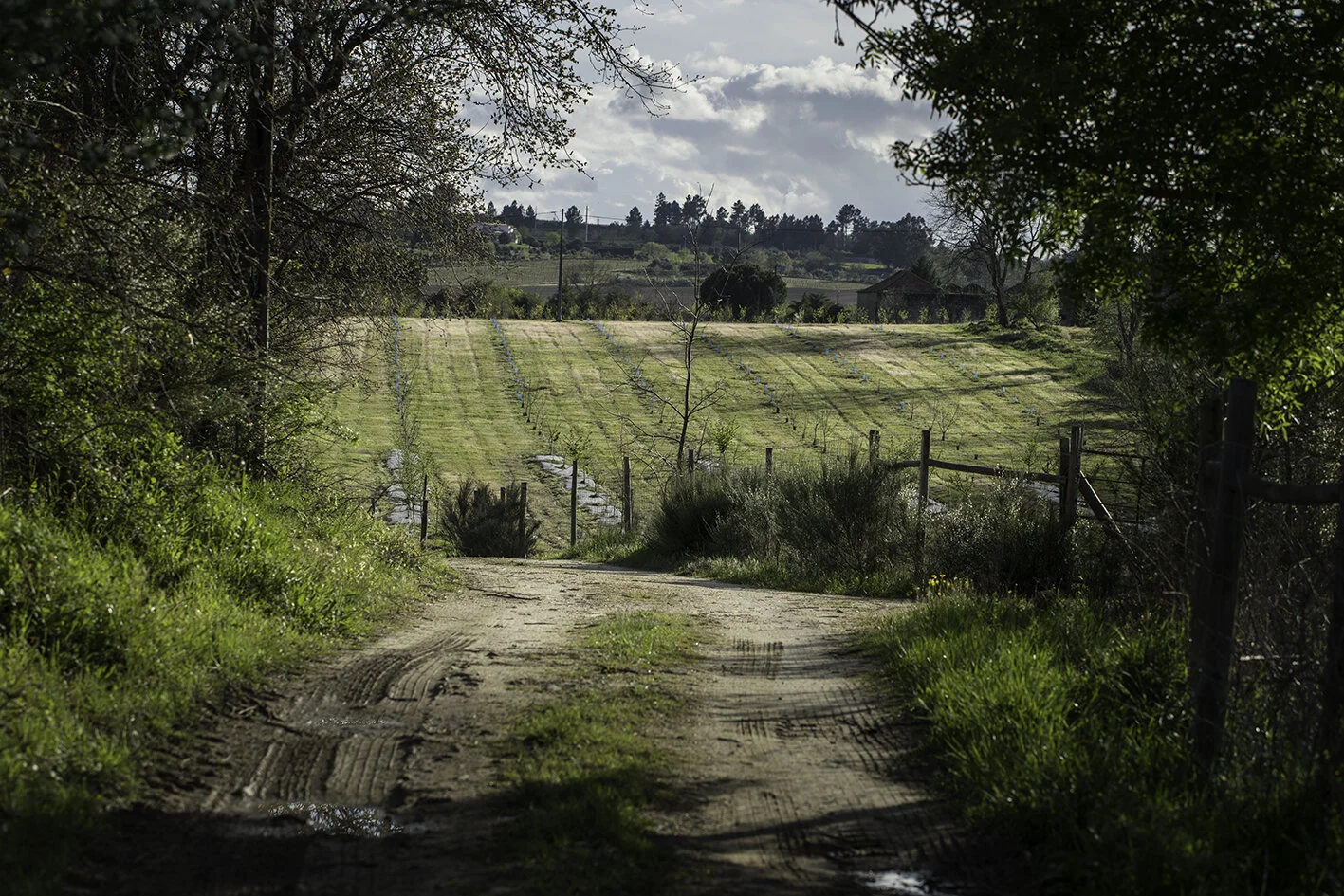 Caminhos e arredores da Quinta do Alcada