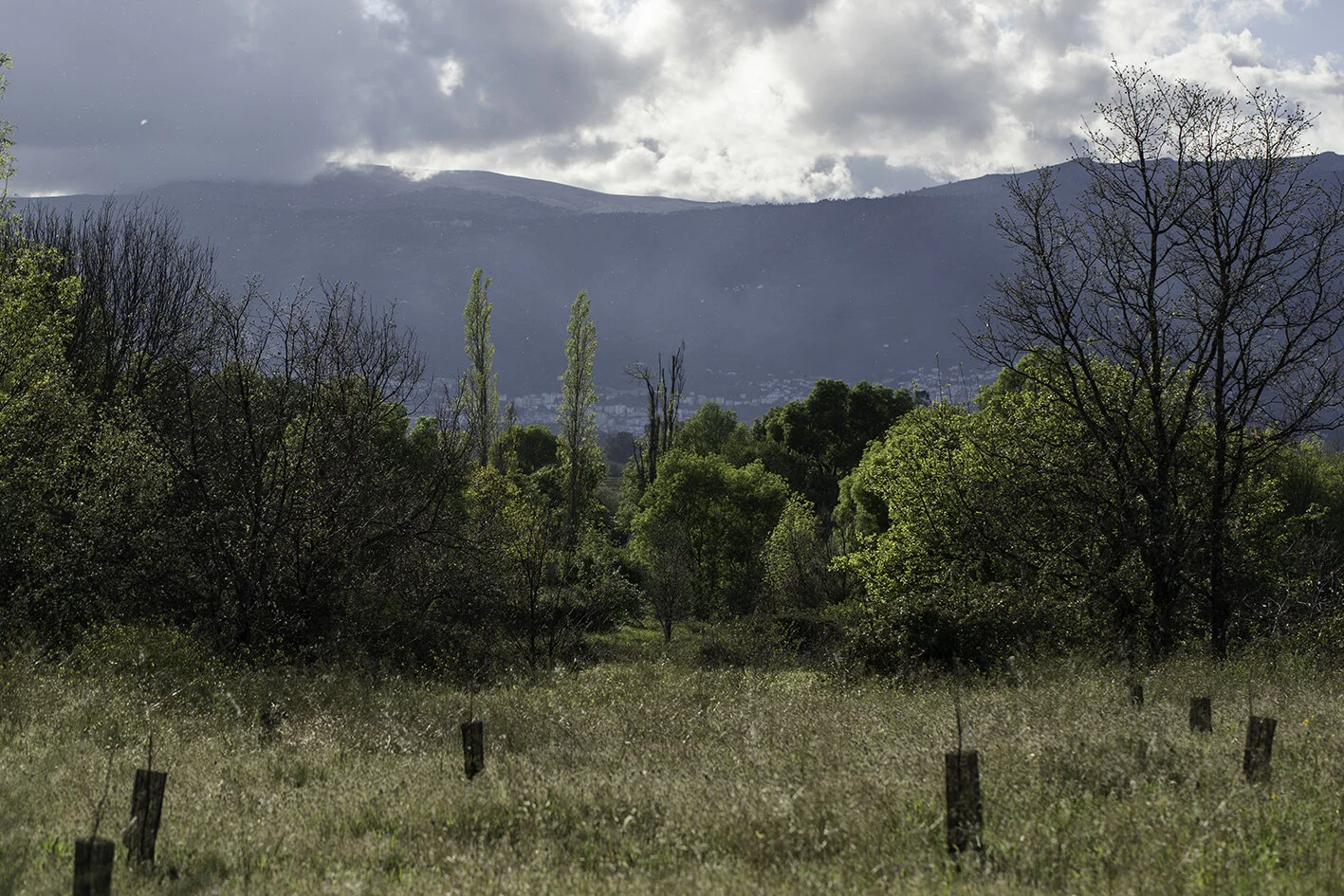 Vista para a Serra da Estrela