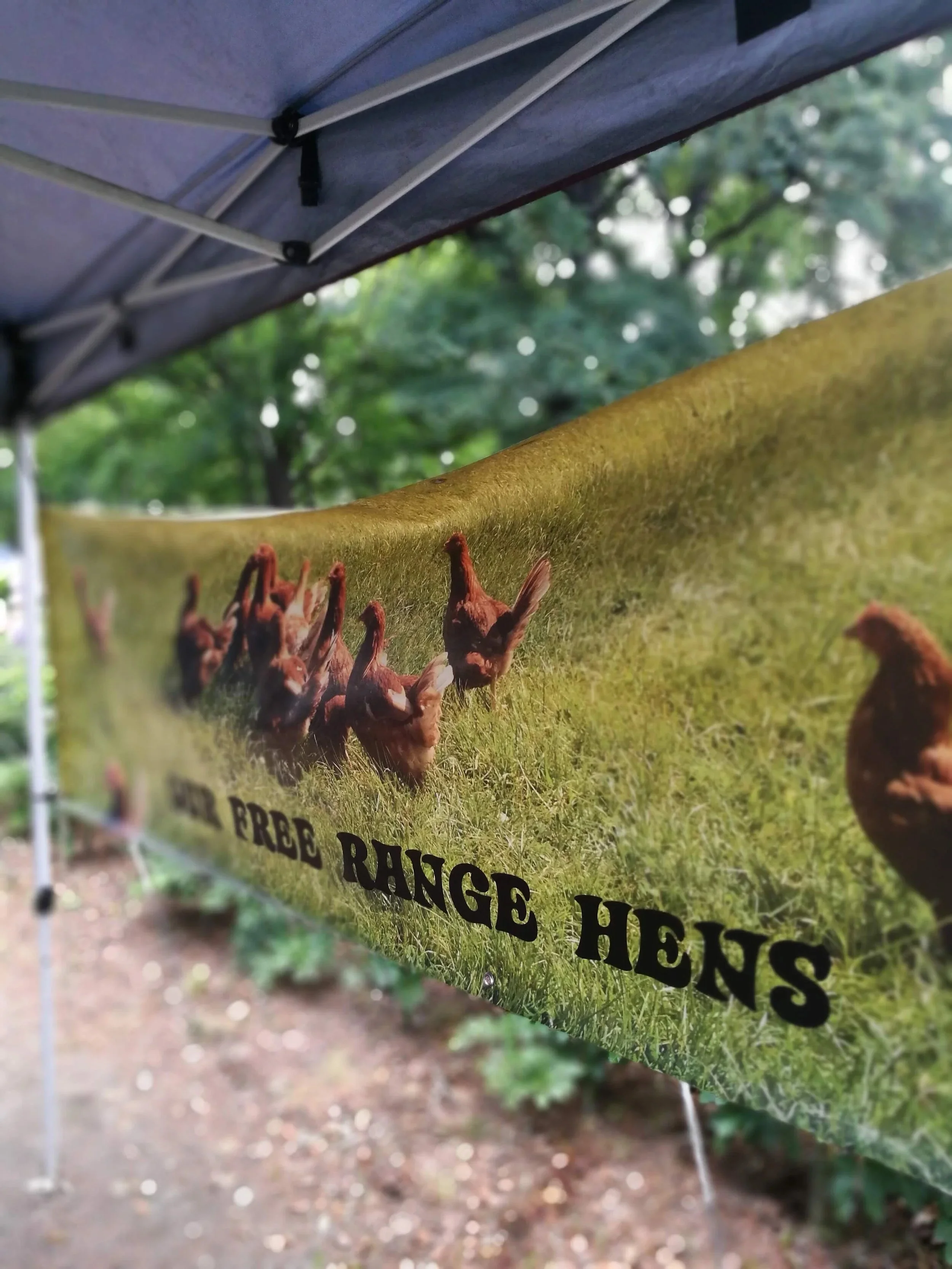 Clever Clucks Pasture Raised Eggs 
