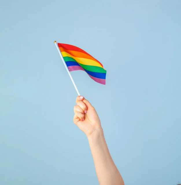 closeup-hand-waving-small-rainbow-flag-against-light-blue_93675-26590.jpg