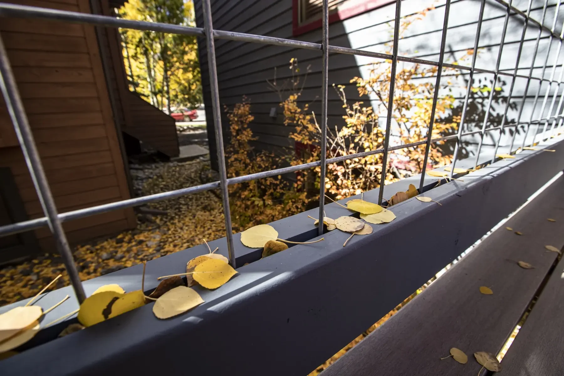 deck builder in Summit County, CO