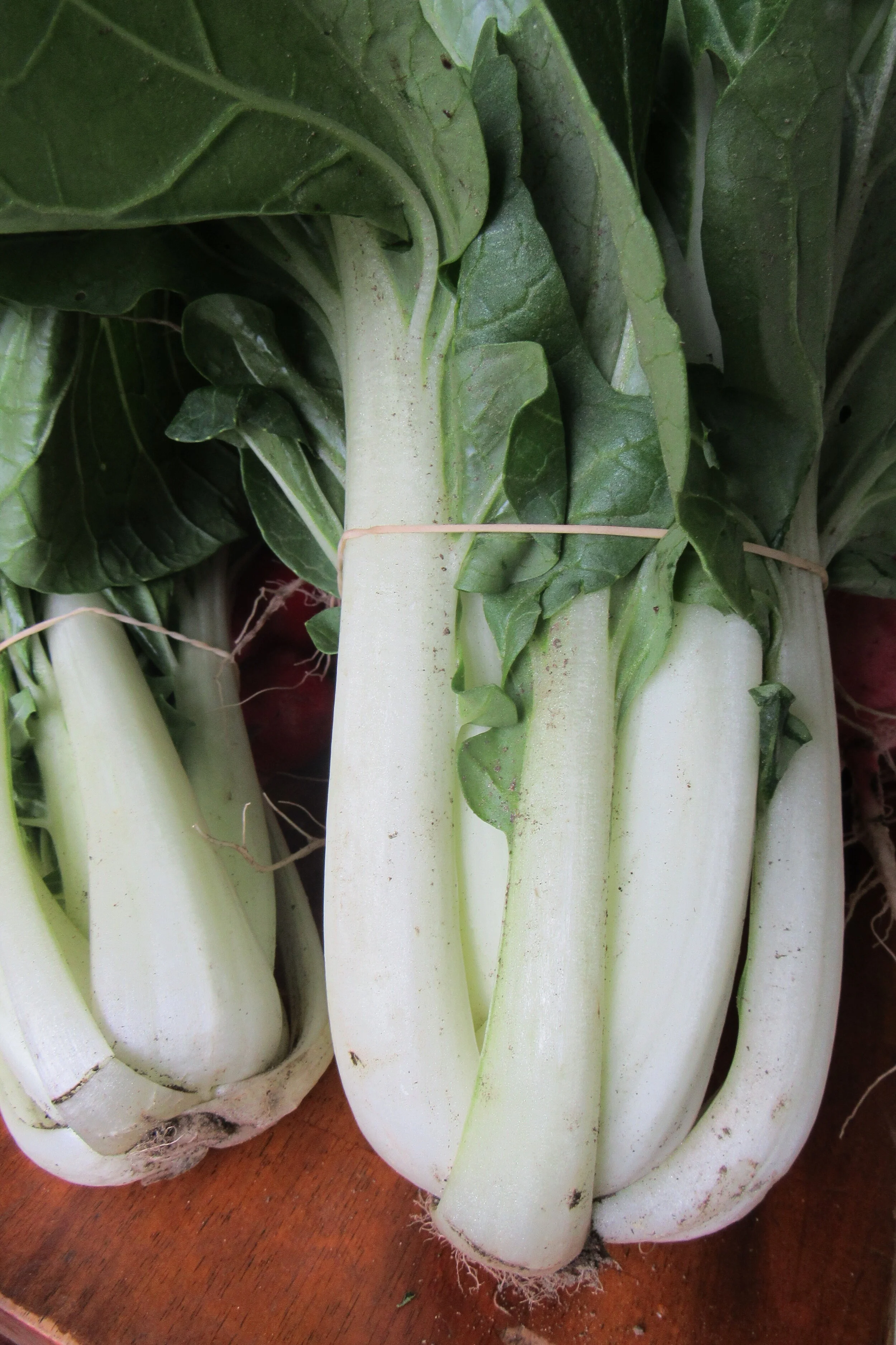 Bok Choi