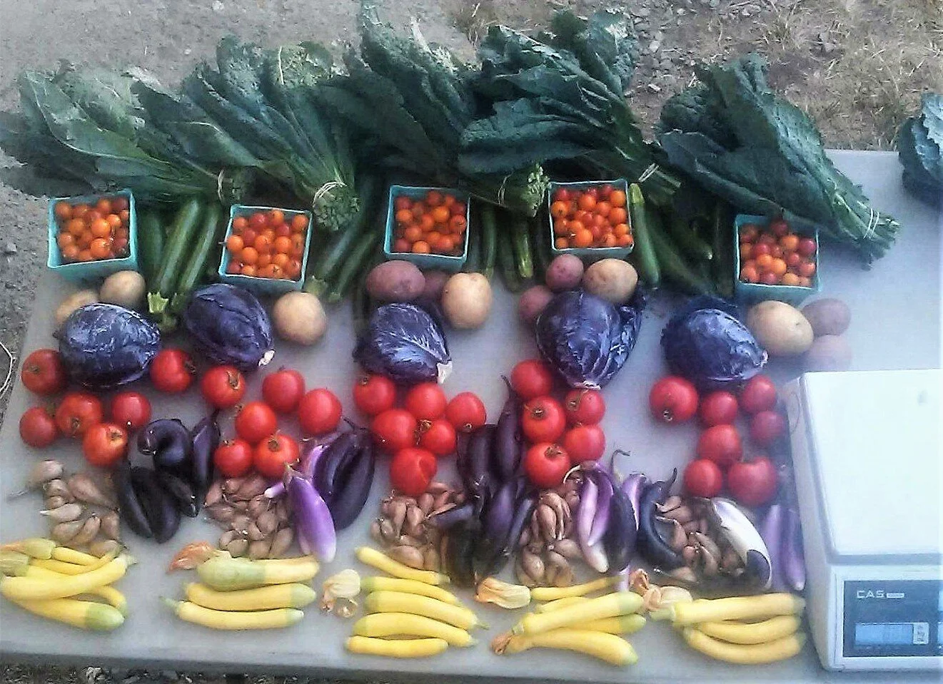 signal-2020-08-08-085907 altered.jpeg