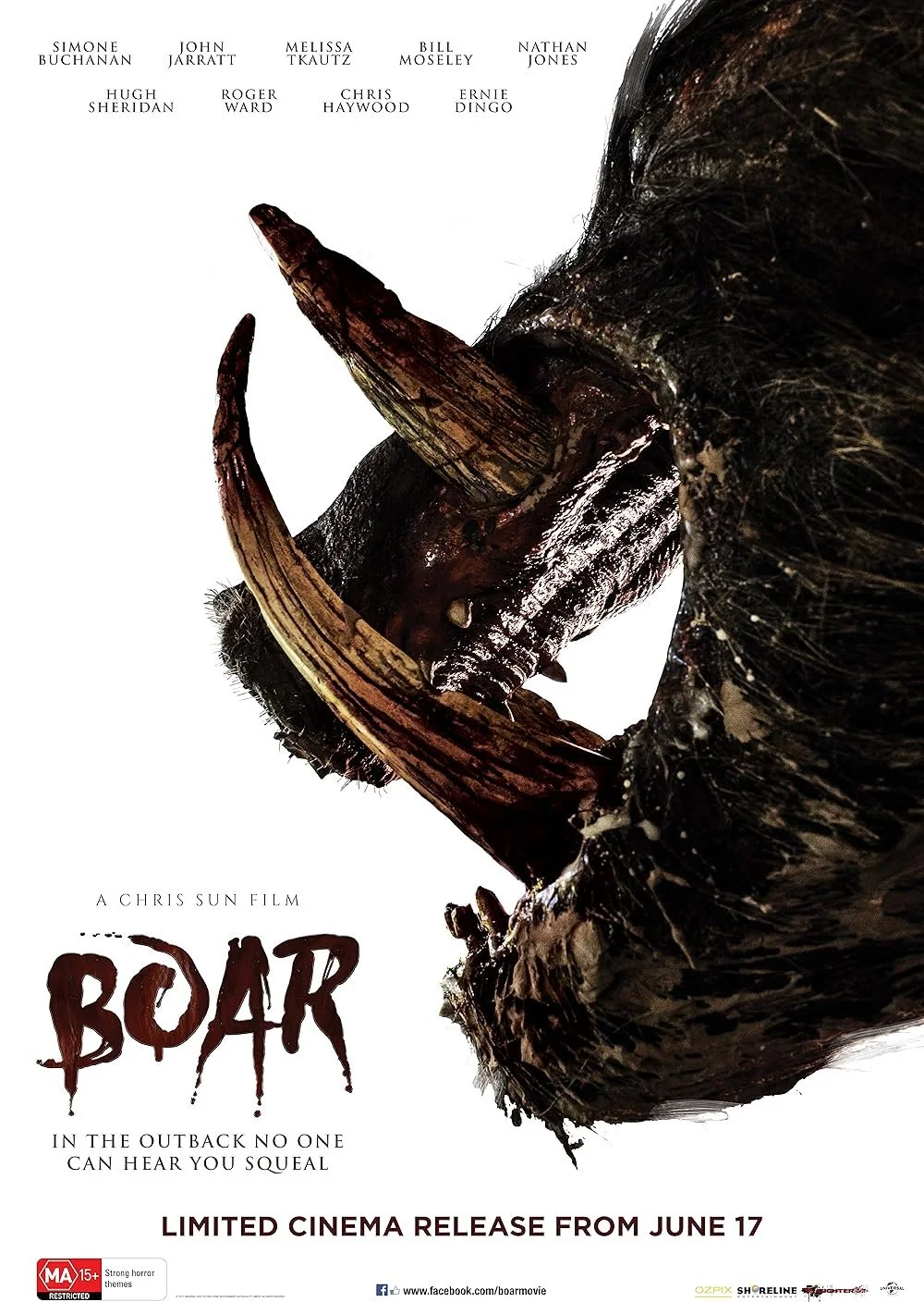 Boar.jpg