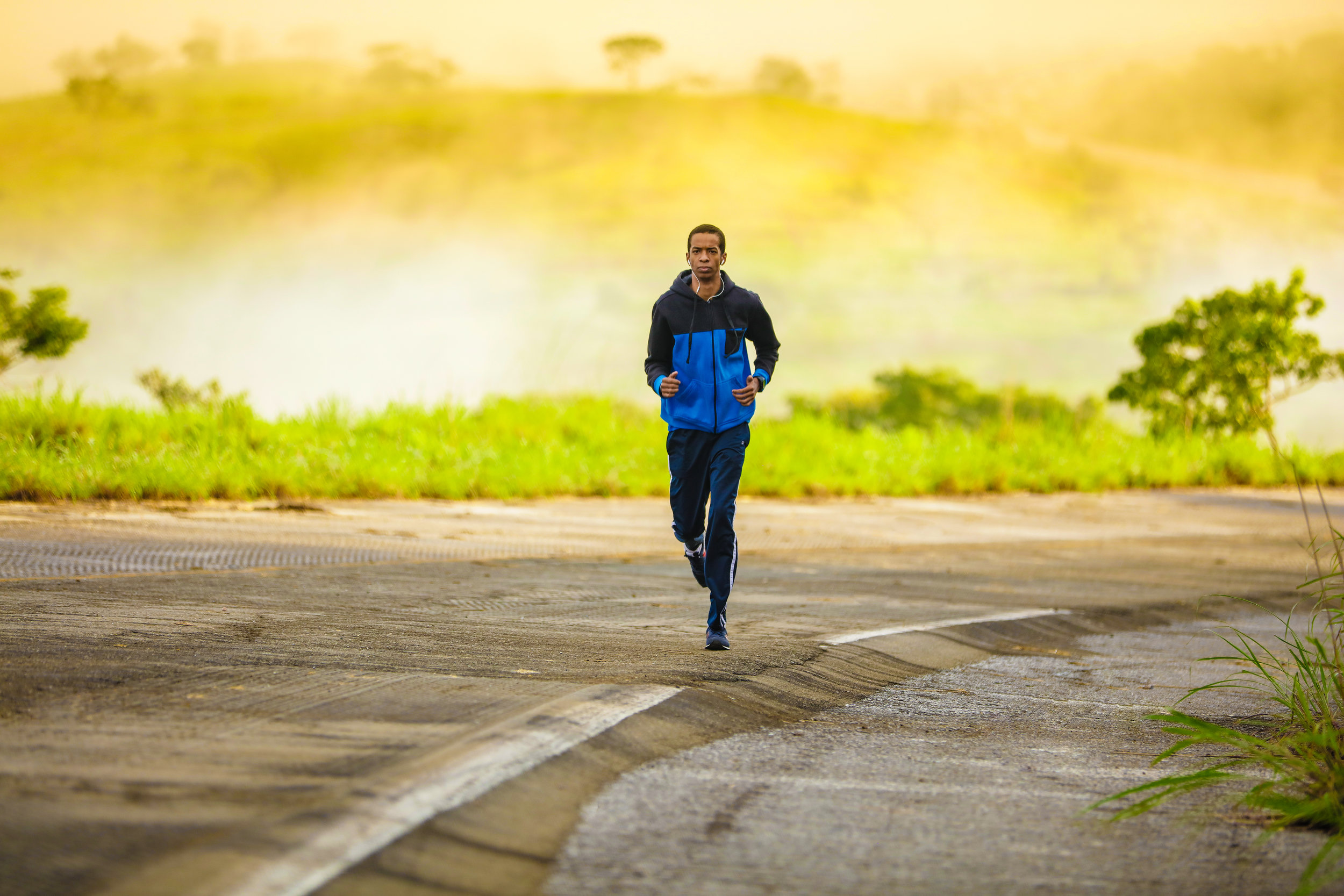The Aerobic System