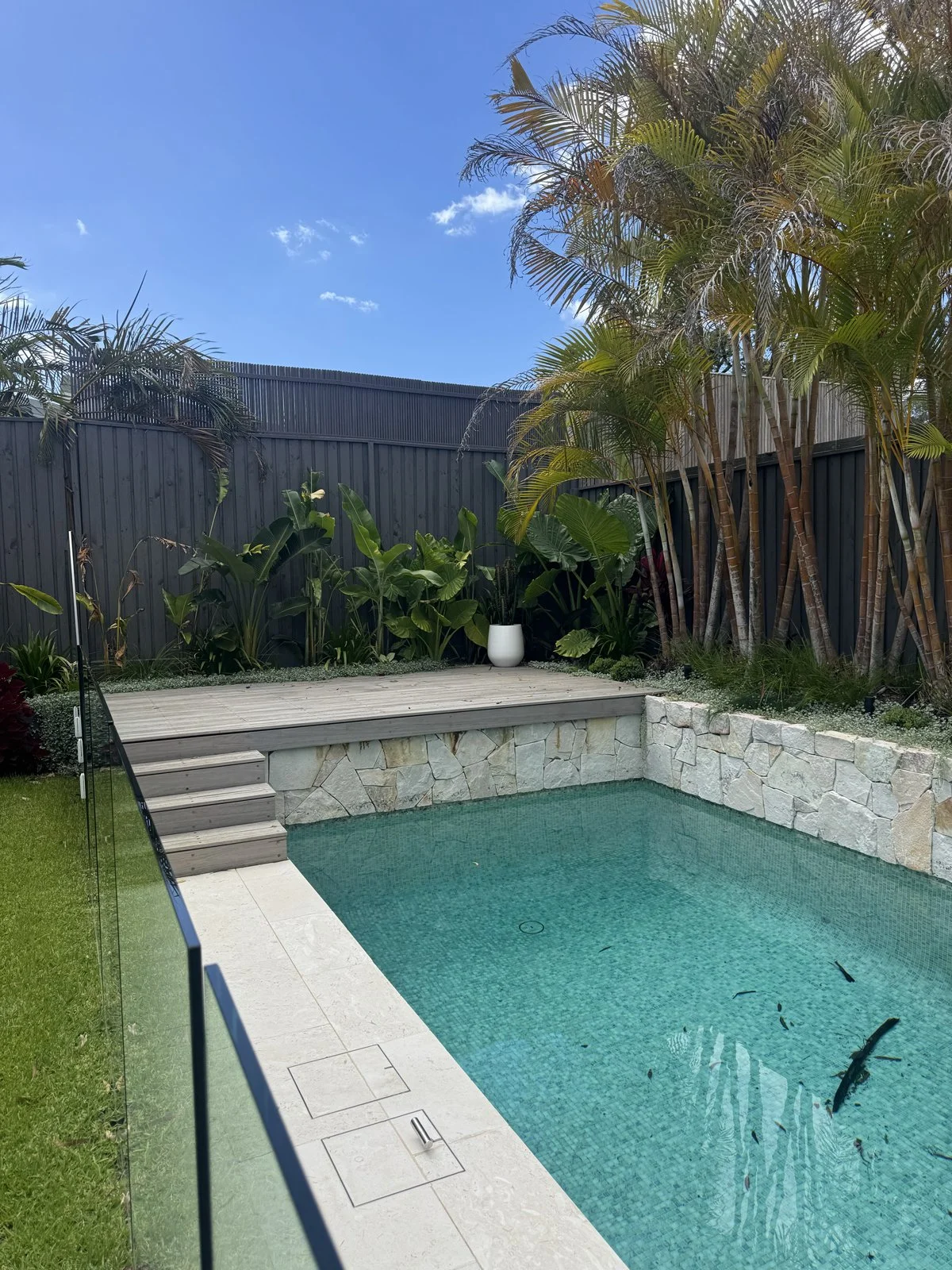 A backyard with a swimming pool, stone wall, potted plants, tropical trees, and a dark gray fence under a clear blue sky.