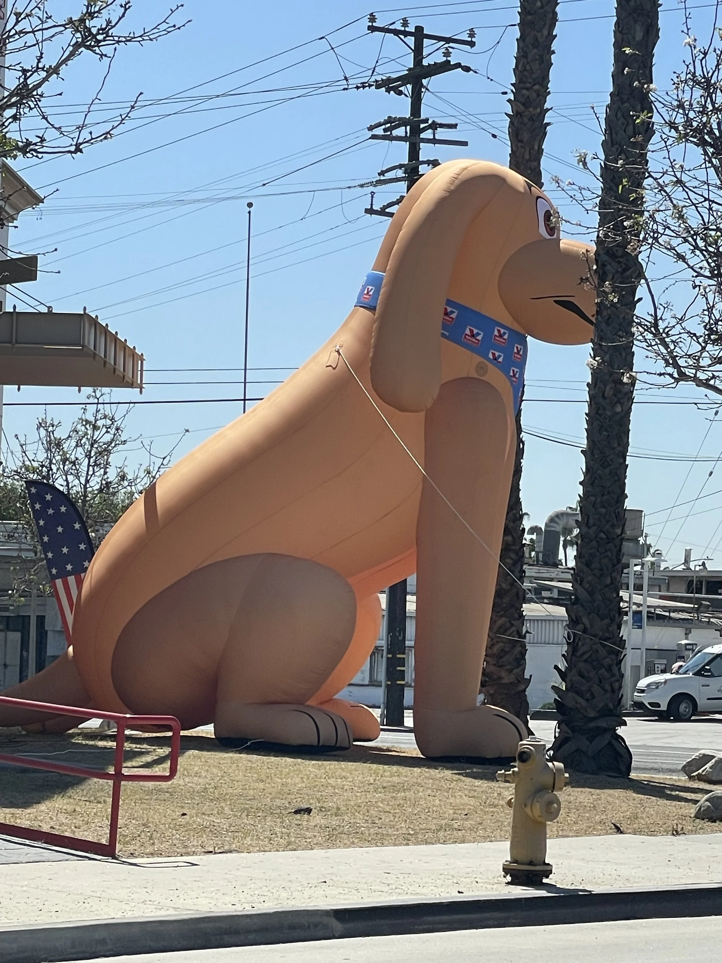  Valvoline Speedy the dog blow up 