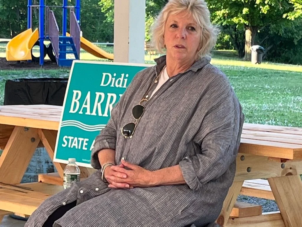 Chatham Dems Meeting Recap