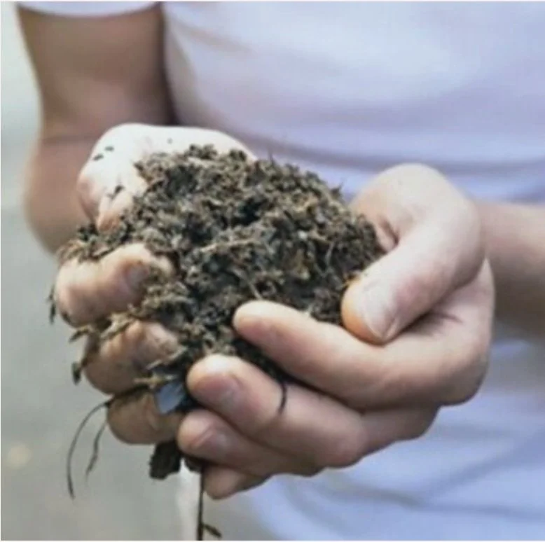 Holding compost at Urban Camp.