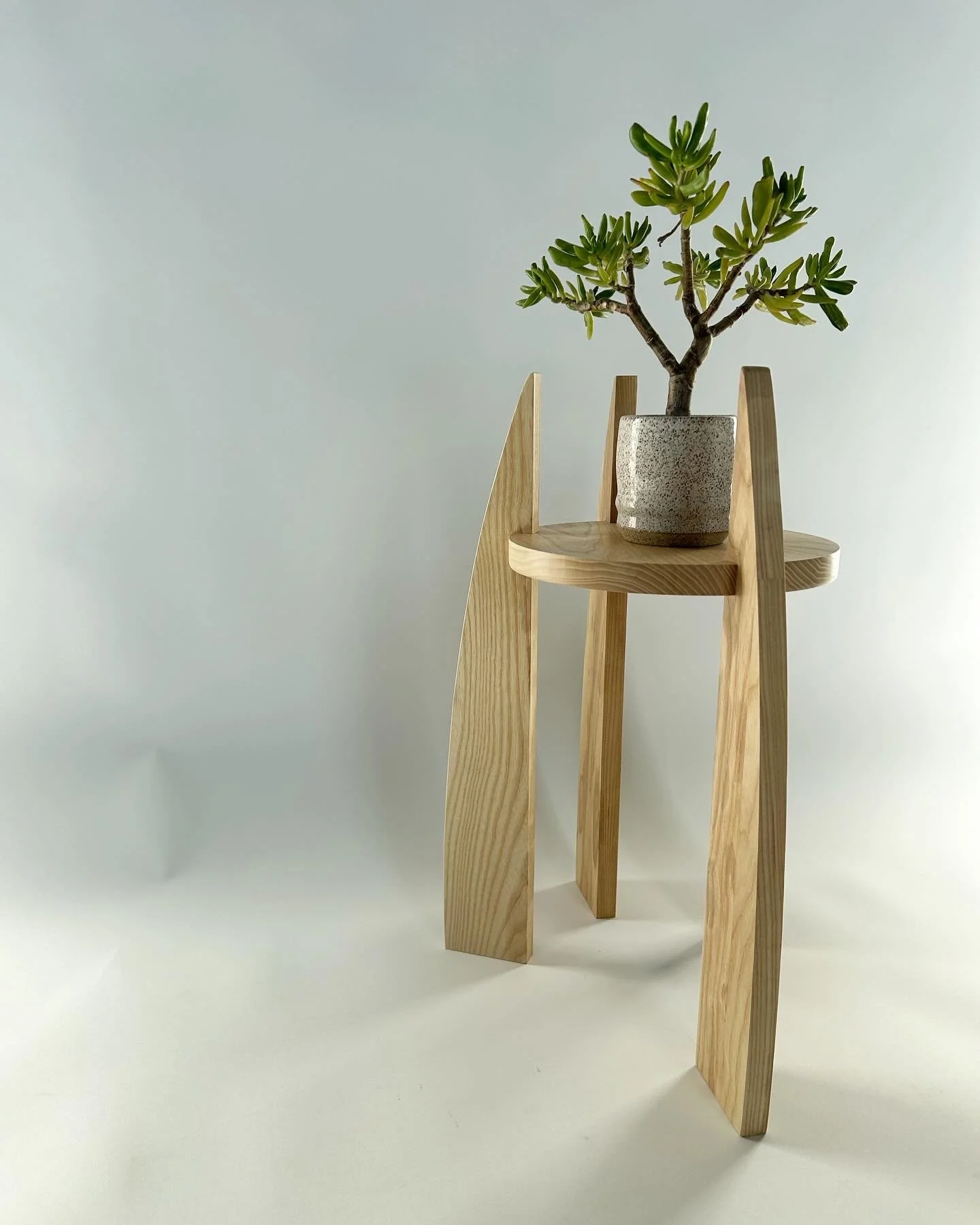 Ash Plant stand