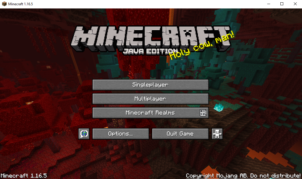 Minecraft: Java Edition Servers