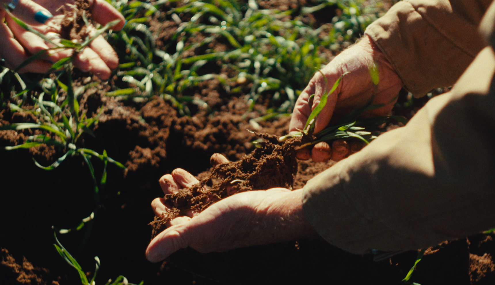 The Art of Storytelling: Filmmaker Lindsey Hagen and the Resurgence of Colorado Rye