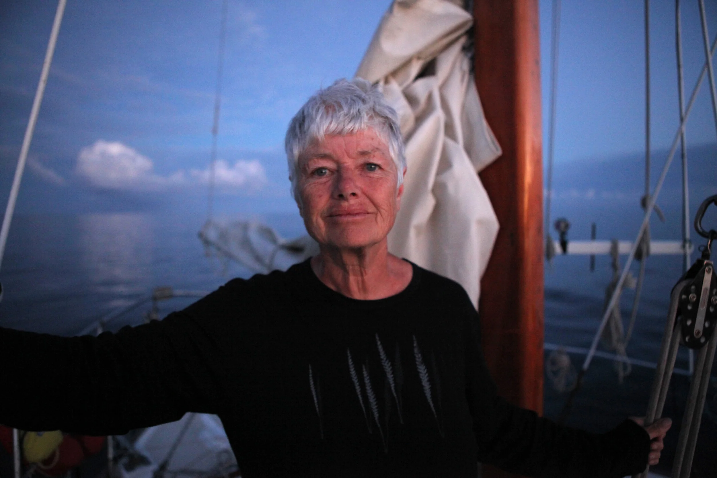 Vega_JeanetteFitzsimons.jpg