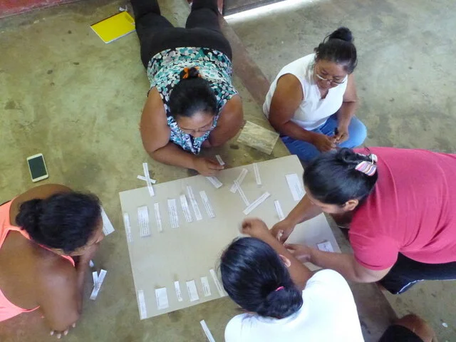 CNH Diabetes Health Promoter Training Evaluation 