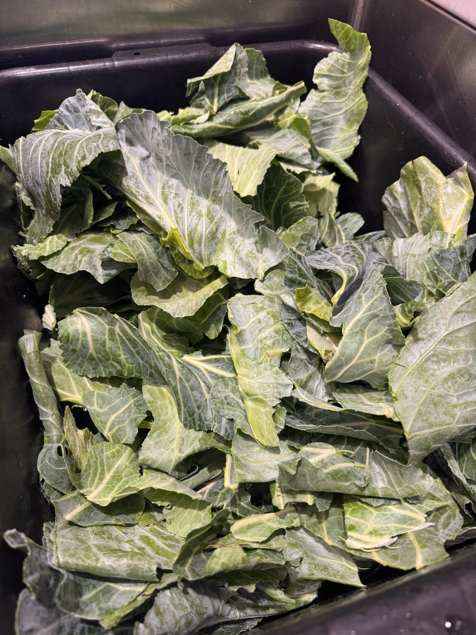 Quiana Rice in the community