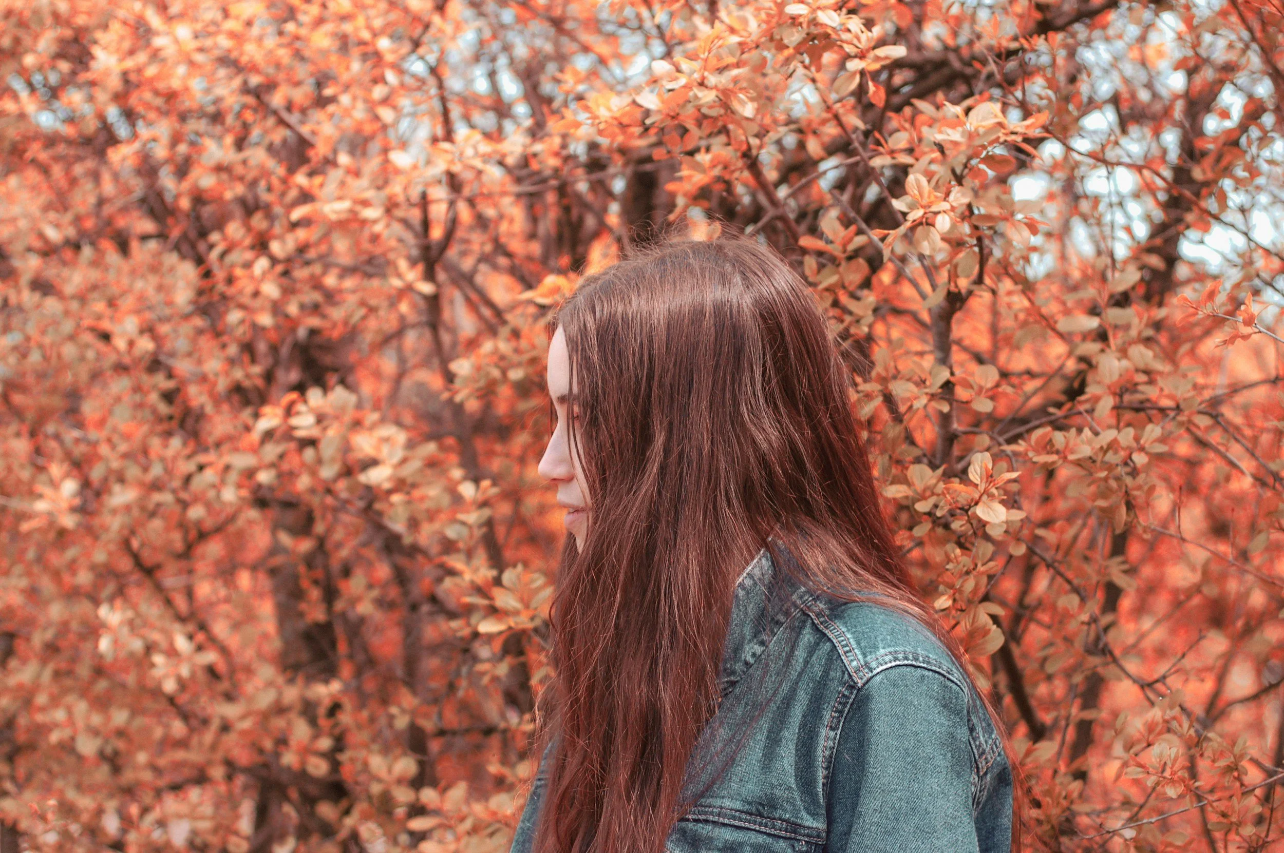 Autumn Hair Colour Trends 2026: The Warmest Tones for the Queenstown Region