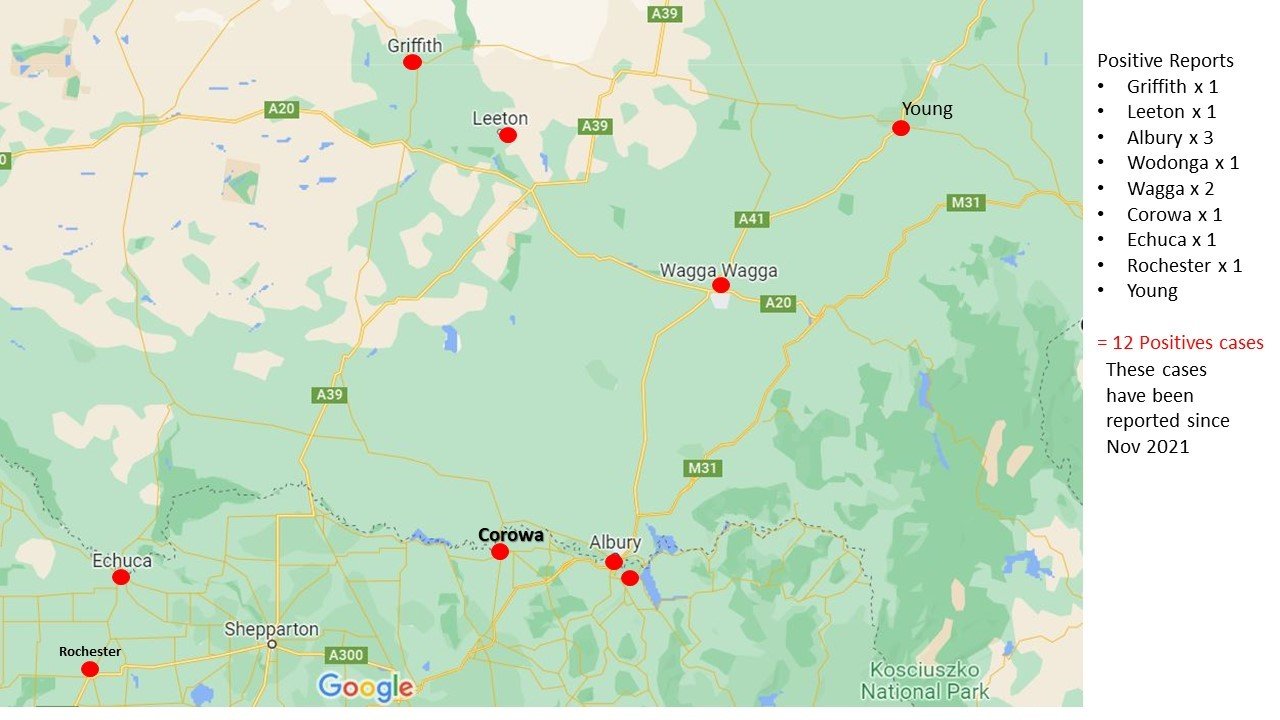 Riverina map showing locations where Heartworm has been reported since Nov 2021