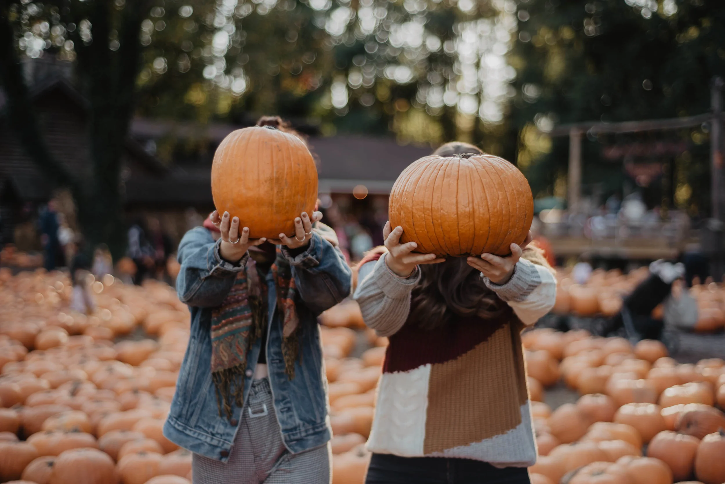 Fall Family Fun in Kitsap