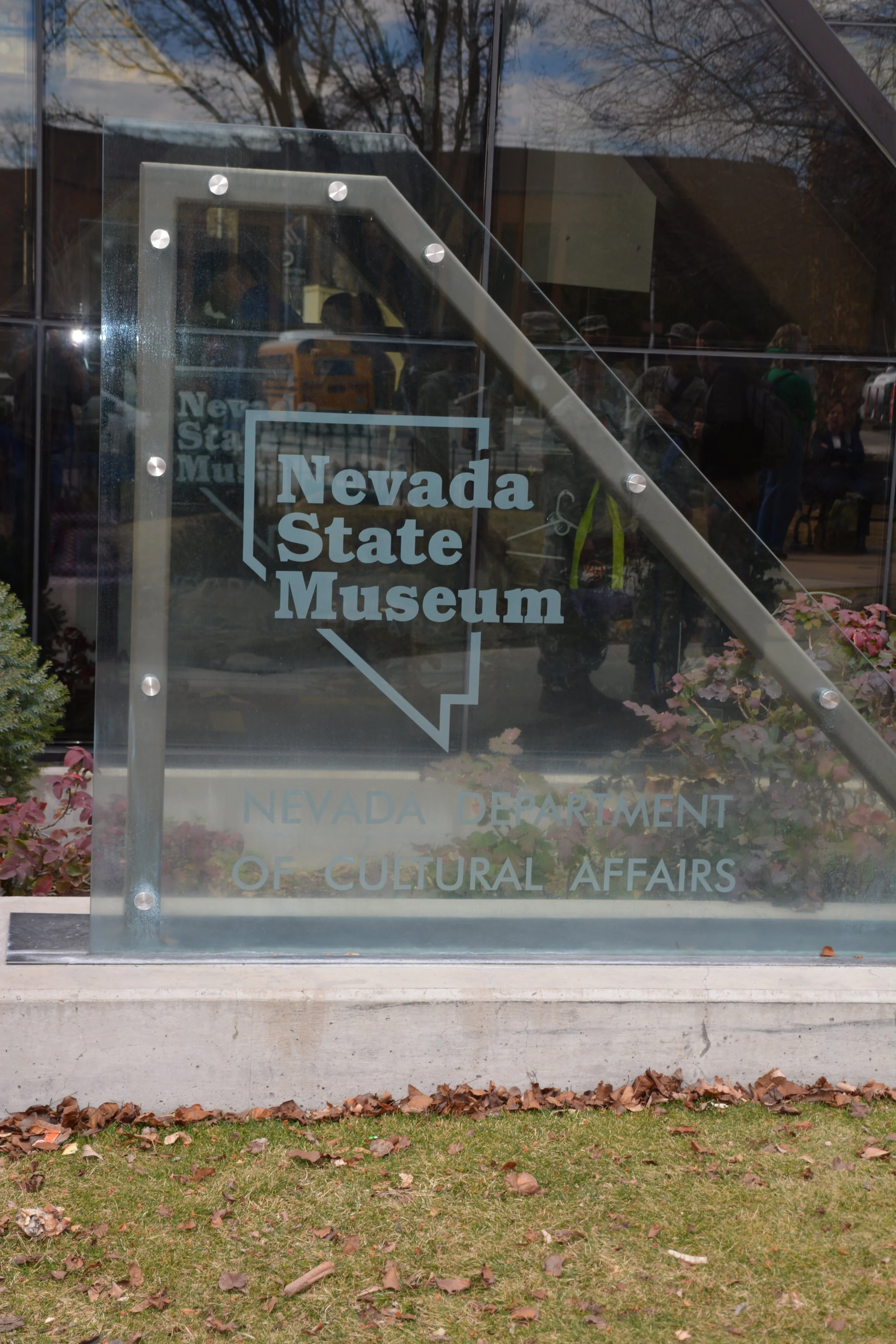 DSC_7071.JPG