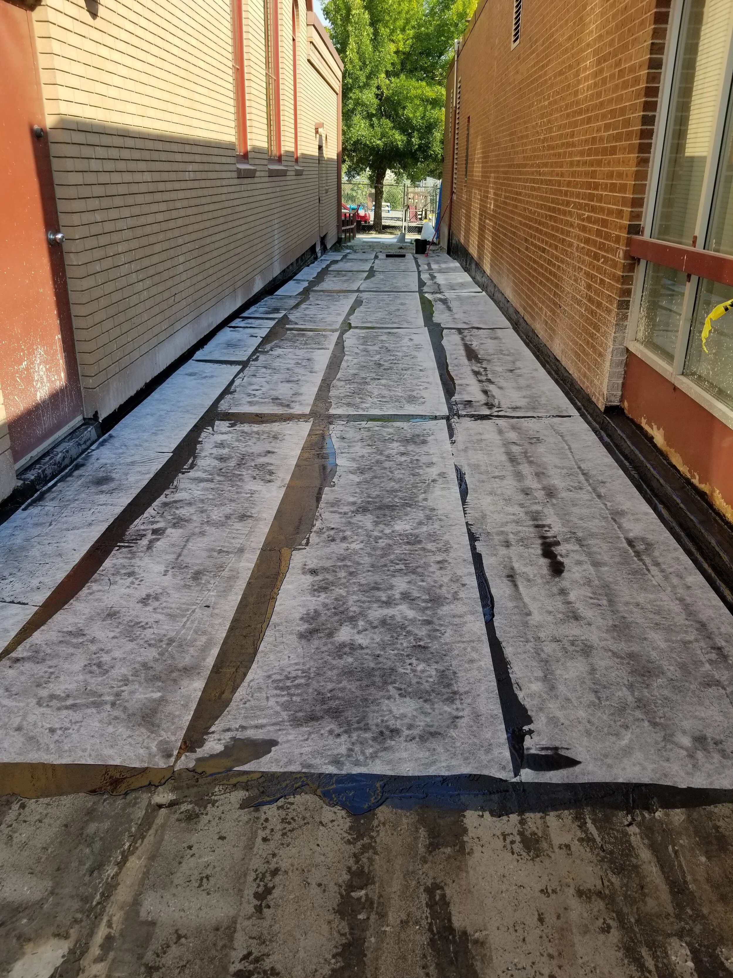 20180907_104236.jpg