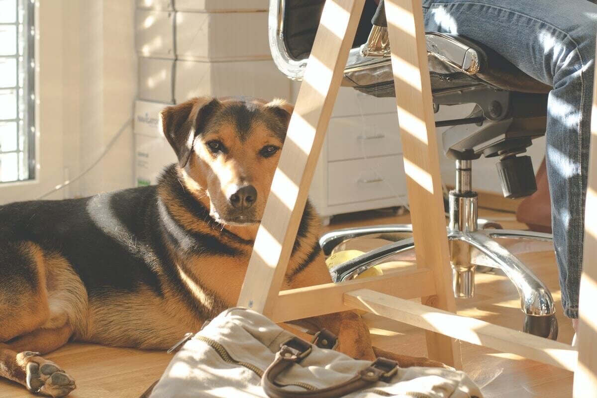 Claiming deductions for working from home to be made easier.