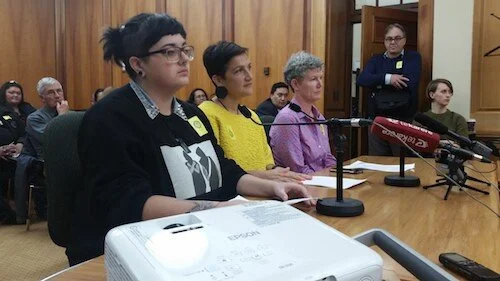 Ara Taiohi is at the forefront of advocacy for young people in Aotearoa New Zealand.