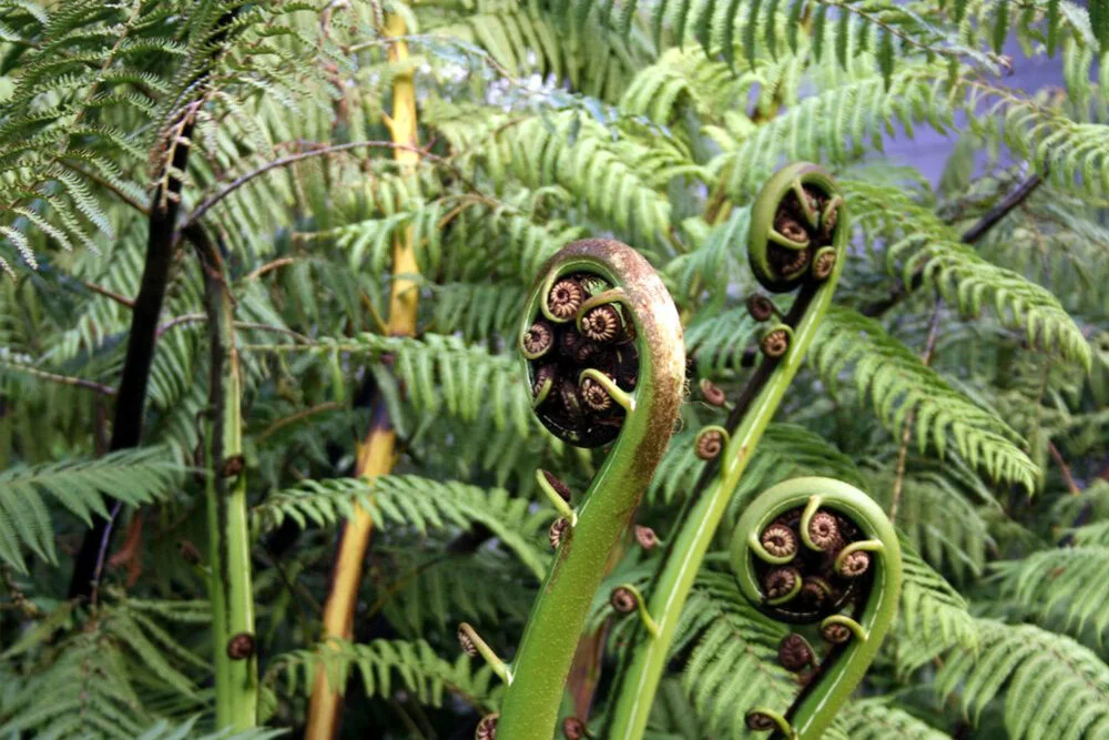 apply for funding.jpg