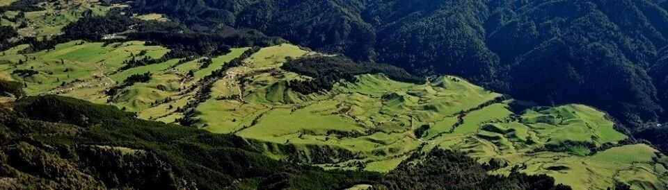 The Ruatāhuna valley – deep in the heart of Te Urewera, where the Tuawhenua Trust is based.