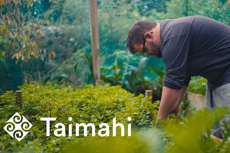 Taimahi Trust - Building Belonging, Growing Skills, and Changing Attitudes