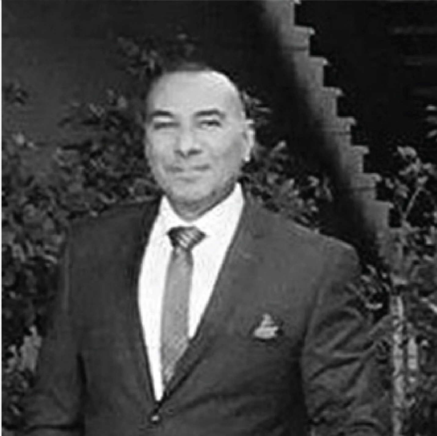 Michael Saavedra   Board of Directors