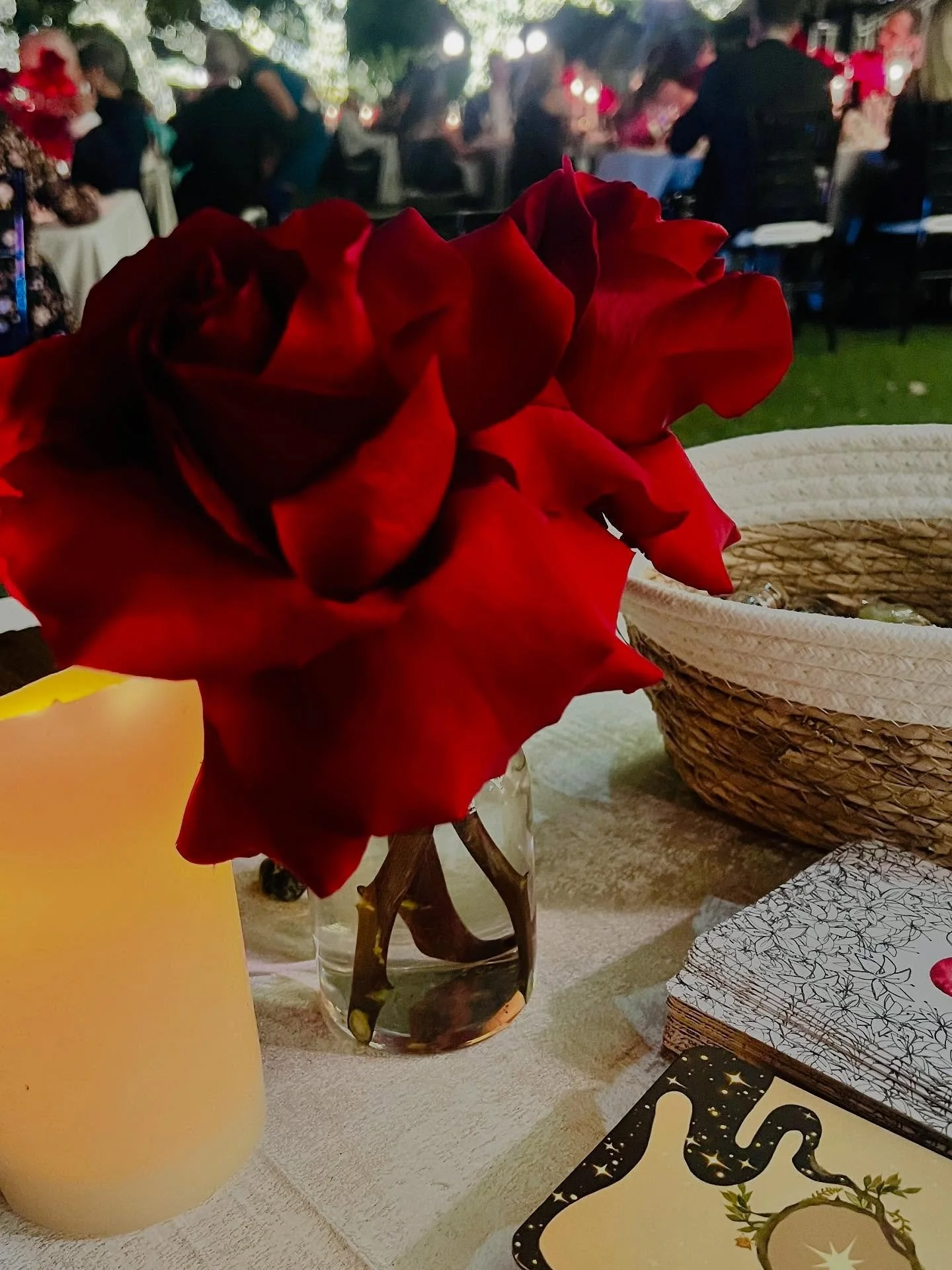 ✨ Deep gratitude to Jackie and Josh for inviting me to weave a little magic on your wedding day. It was such a joy to share tarot under the moonlight of your love. May your union be ever blessed with enchantment, laughter, and light. 🔮💞