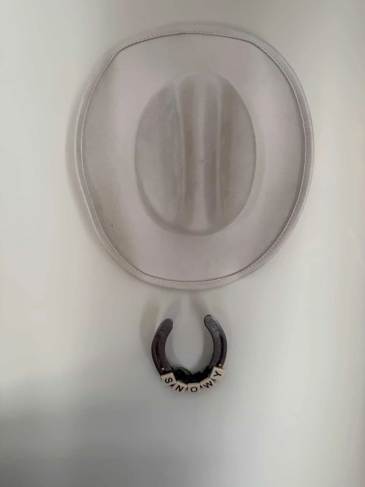 The Year of the Horse feels like such a reflection of this chapter of my life. It represents movement, freedom, creative life force, and trusting the intuitive path that continues to unfold before me. I am honoring my gifts with mediumship, sound, an