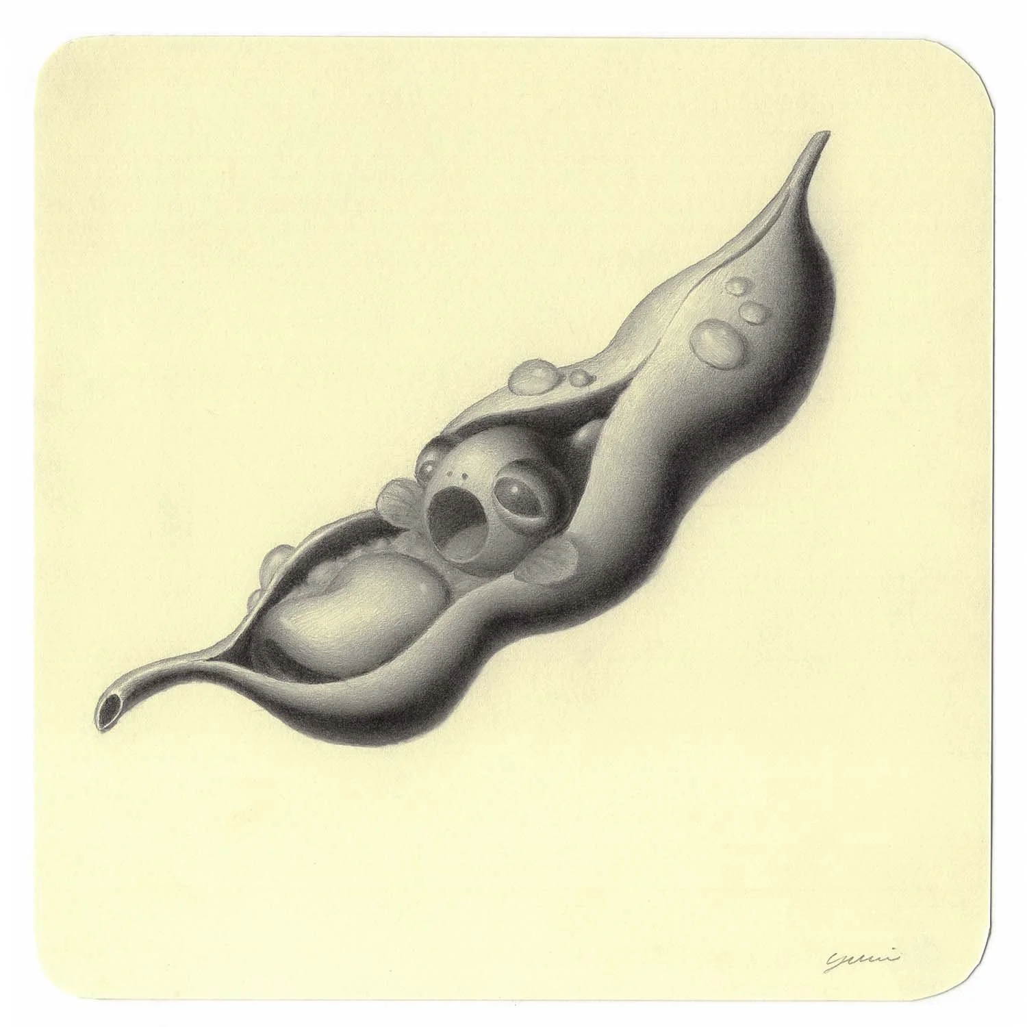A surreal pencil drawing of a chili pepper with a baby chick emerging from its opening, set against a plain light yellow background.